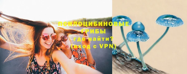 дурь Коряжма