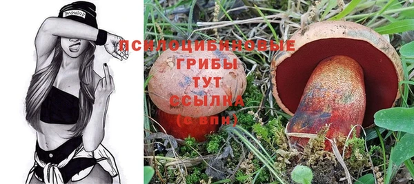 герыч Корсаков