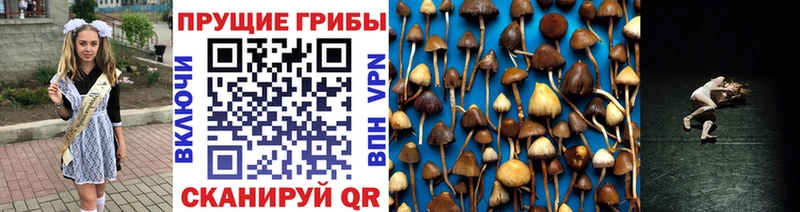 Купить закладки  Дно  Псилоцибиновые грибы прущие грибы 